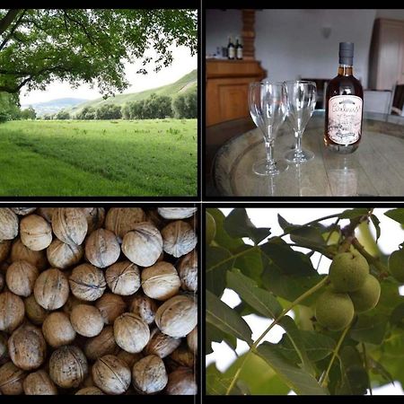 The Wine Cellar In The Old Gemeinde House Brauneberg Eksteriør bilde