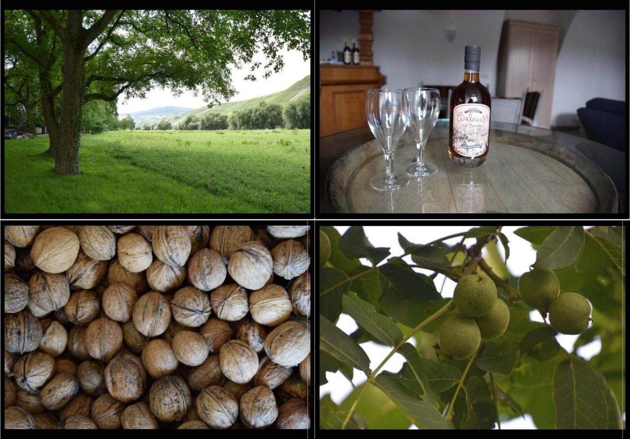 The Wine Cellar In The Old Gemeinde House Brauneberg Eksteriør bilde